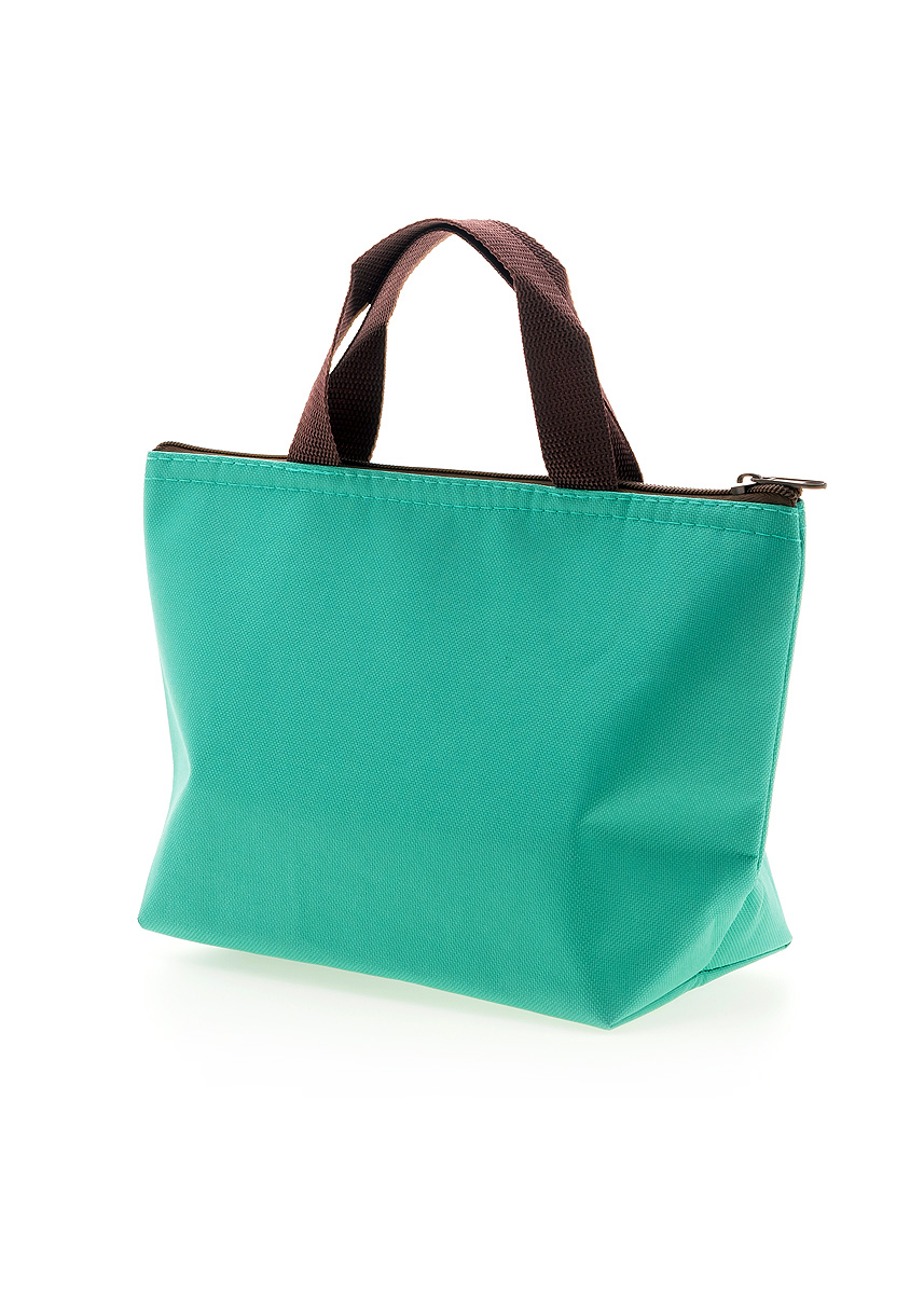 elara chic structured satchel